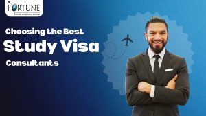 Best Study Visa Consultant